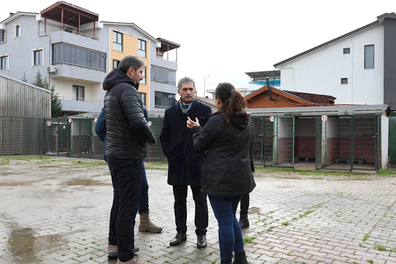 Umurbey Hayvan Rehabilitasyon Merkezi, iyileştirme çalışmalarının ardından yeniden açılıyor