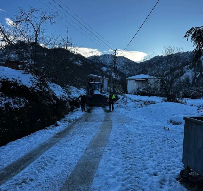 Kışa Karşı Önlem: Arhavi Tuzlama Çalışmalarında