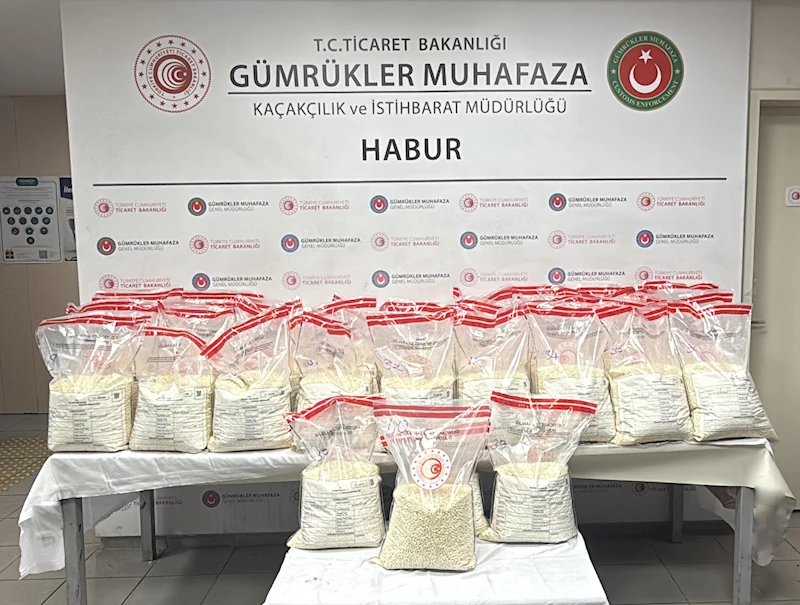 Habur Gümrük Kapısı