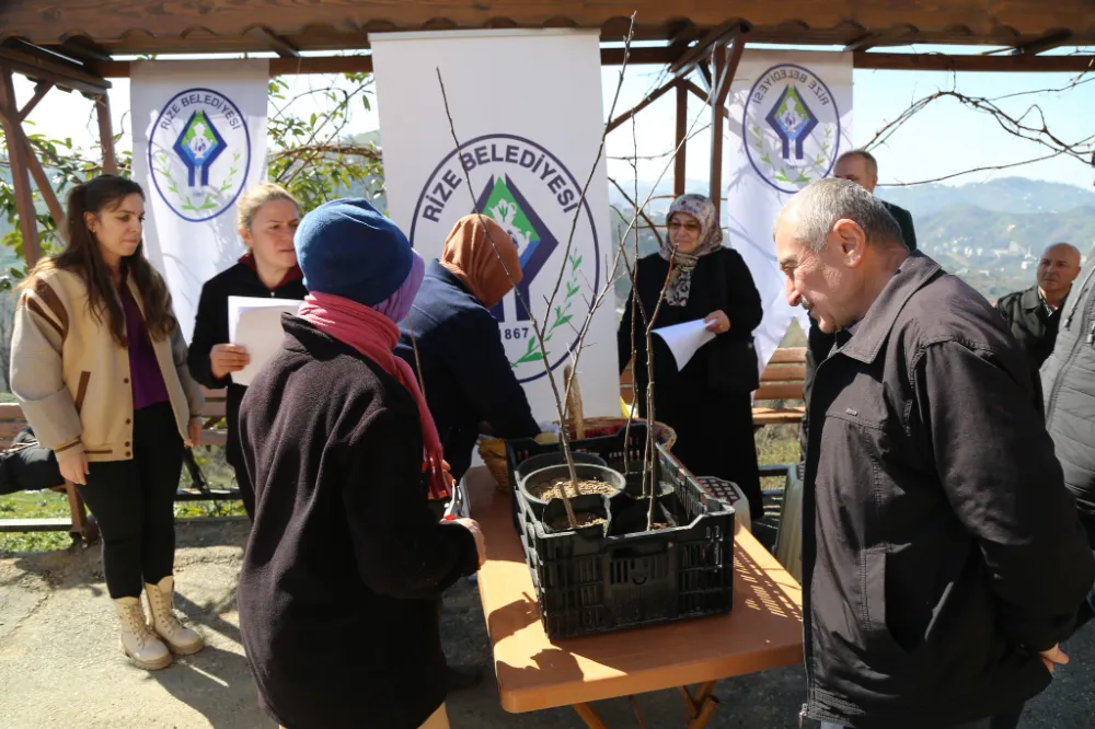 Rize Belediyesi,Vatandaşlara Ücretsiz Fidan Aşılama Eğitimi Sunuyor