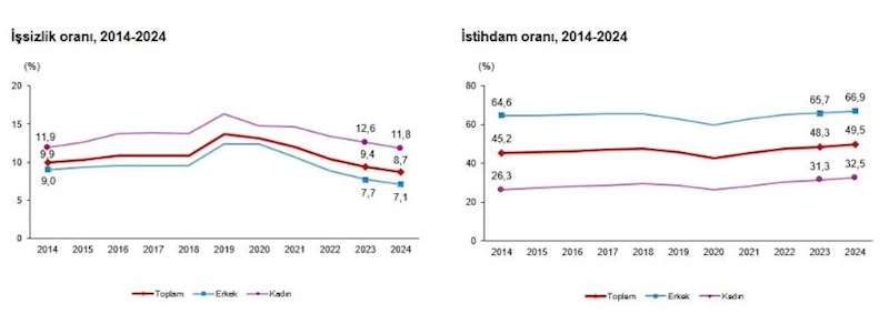 TÜİK: 2024