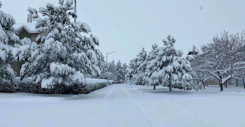 Erzincan