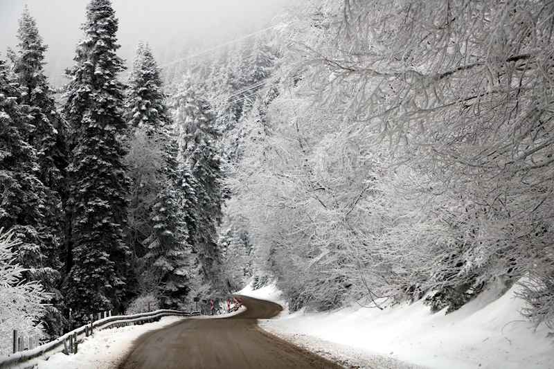 Bolu