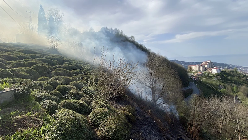 Rize’de anız yangını ormana sıçradı