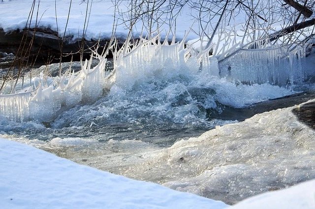 Kanada’da 