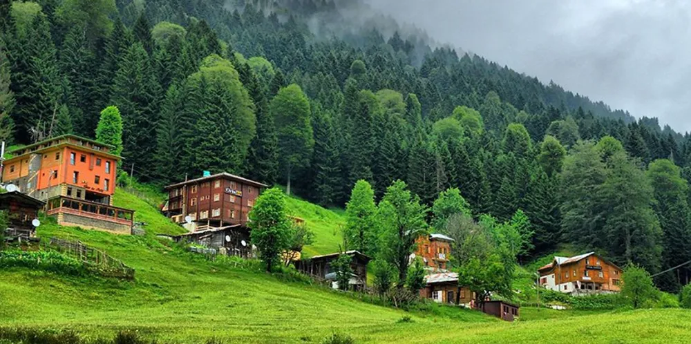 Ayder Yaylası: Doğa ve Huzurun Buluşma Noktası