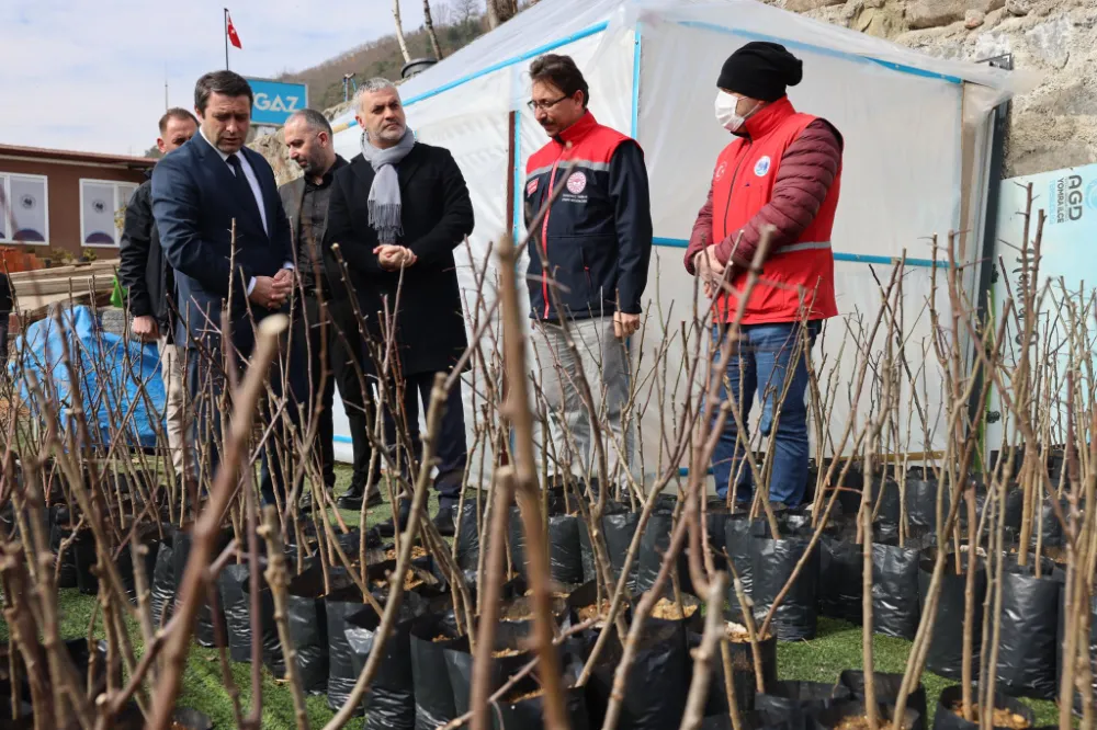 Yomra Belediyesi’nden Çiftçilere Meyvecilikte Aşılama ve Budama Eğitimi Verildi