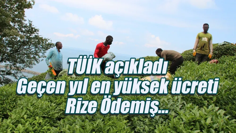 Rize, Tarım İşçilerine En Yük Ücreti Ödeyen İl Oldu