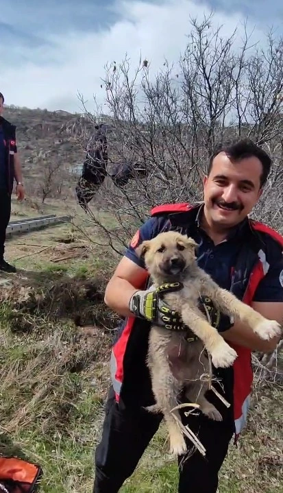 Kuyuya düşen yavru köpek, itfaiye tarafından kurtarıldı