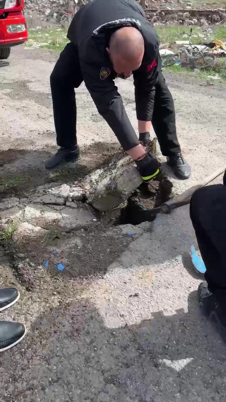 Rögara düşen yavru ördeği itfaiye kurtardı