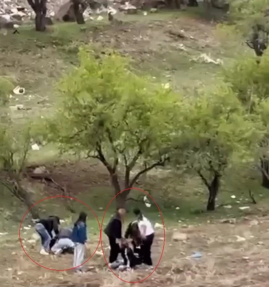 Elazığ’da genç kızların kavgası kamerada 