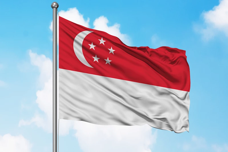Singapur Cumhurbaşkanı, parlamentoyu feshetti