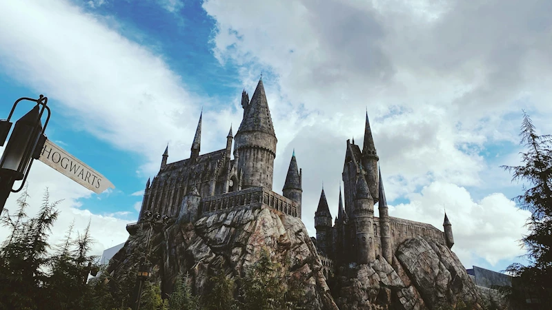 Harry Potter dizisinin oyuncu kadrosu açıklandı