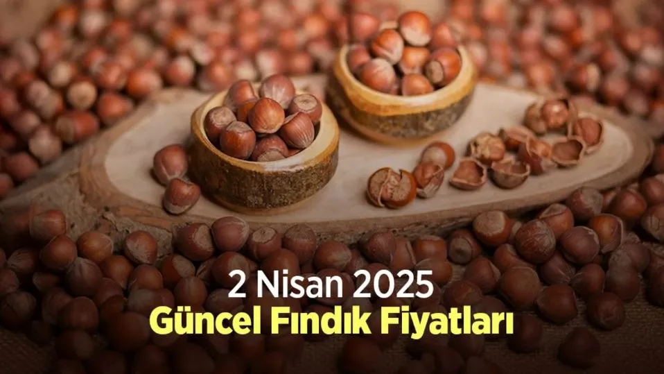 2 Nisan 2025 Fındık Fiyatları Bugün Piyasada Son Durum