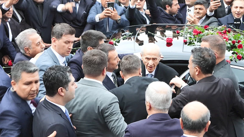 Bahçeli, Türkeş