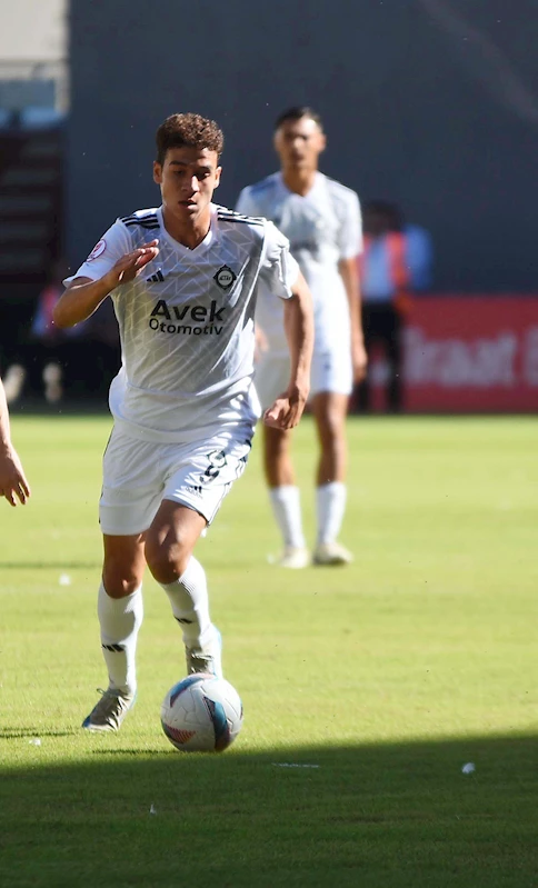  Altay