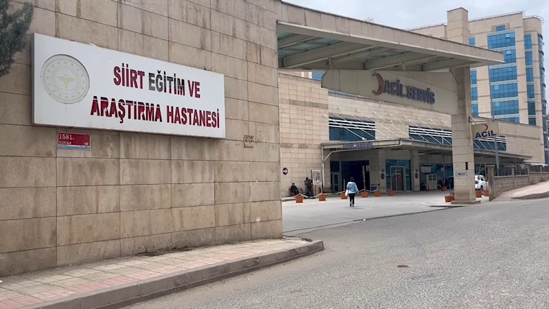 Atın teptiği Zerda, ağır yaralandı