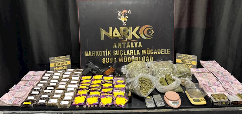 Narkotik Şube