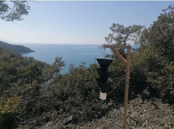 Fethiye