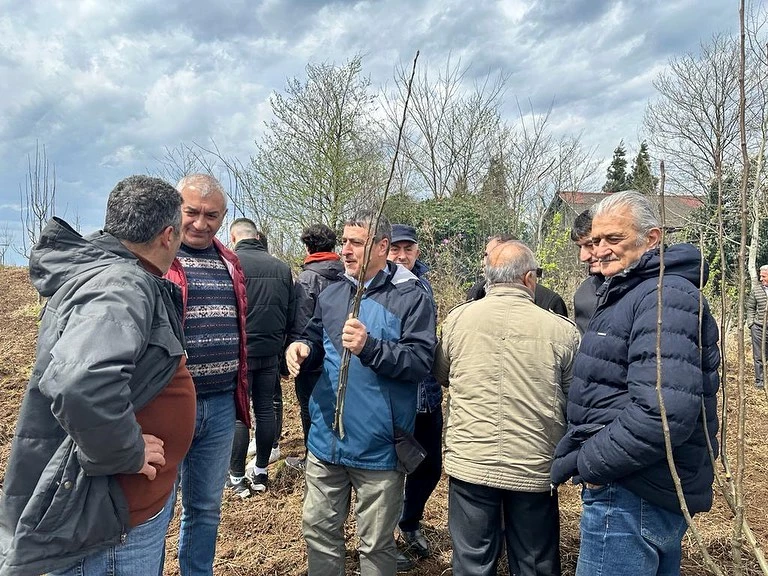 Fındıklı Belediyesi ve Fındıklı Zıraat Odasından budama eğitimi