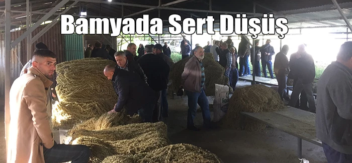 Türkiye’nin Çiçek Bamya İhtiyacında Sert Düşüş