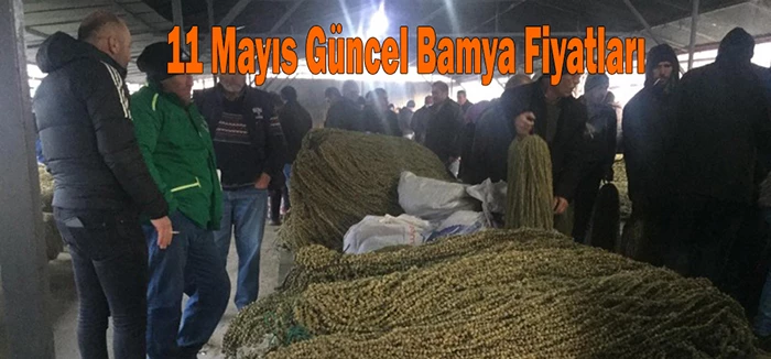 Güncel Bamya Fiyatları