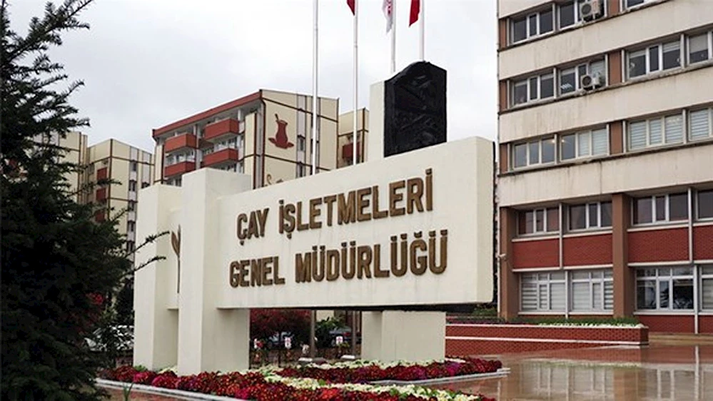 ÇAYKUR 3 günde 730 ton çay aldı