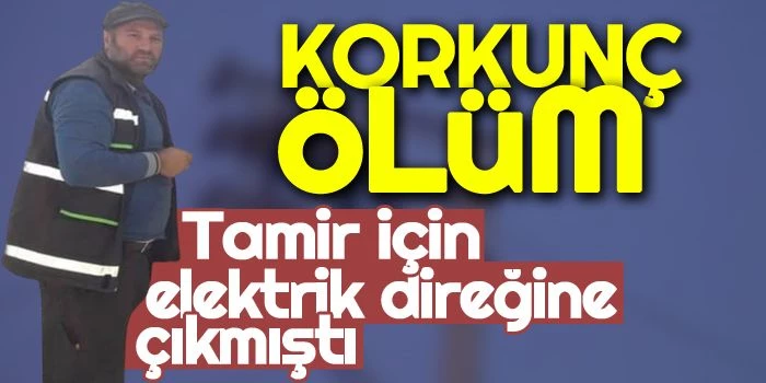 Korkunç ölüm: Tamir için elektrik direğine çıkmıştı!