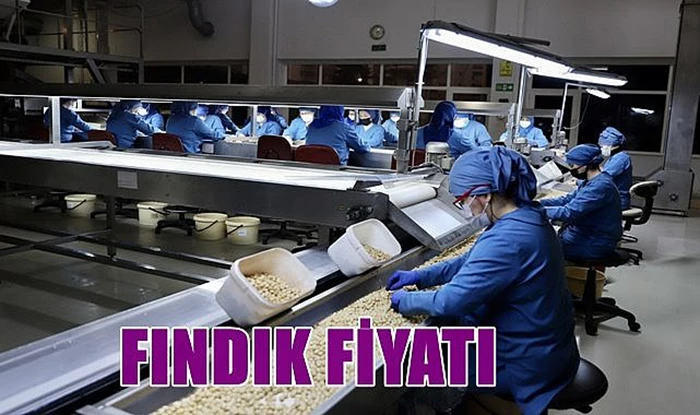 Fındık fiyatı ne kadar? 01.05.2023