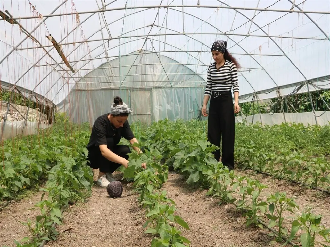 Kuzen İşbirliği 33 ve 24 Yaşındaki İki Genç Girişimci Ortaklıkla Hem Paylaşıp Hem Kazanıyor! 9