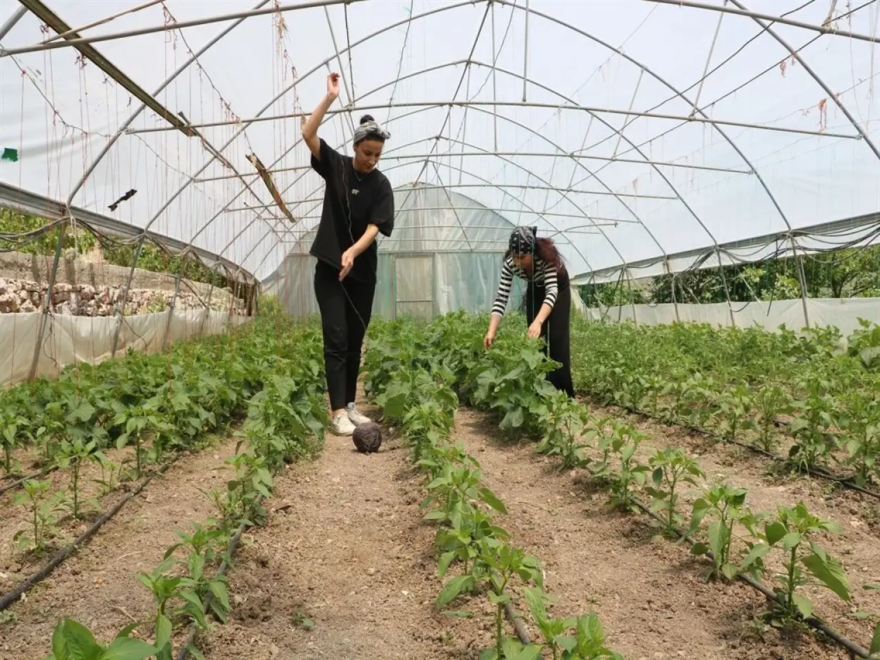 Kuzen İşbirliği 33 ve 24 Yaşındaki İki Genç Girişimci Ortaklıkla Hem Paylaşıp Hem Kazanıyor! 7