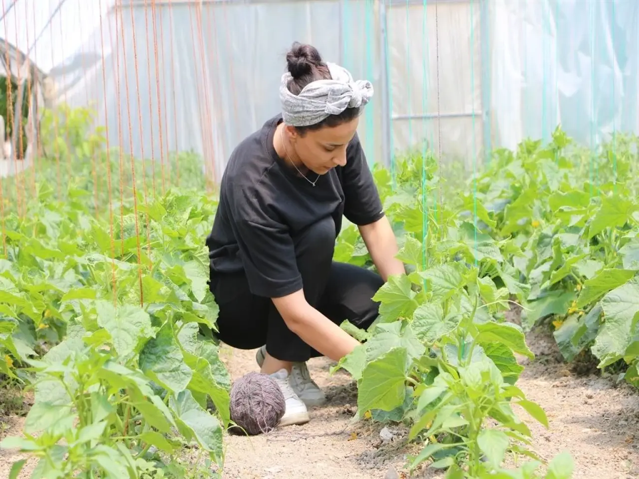 Kuzen İşbirliği 33 ve 24 Yaşındaki İki Genç Girişimci Ortaklıkla Hem Paylaşıp Hem Kazanıyor! 5