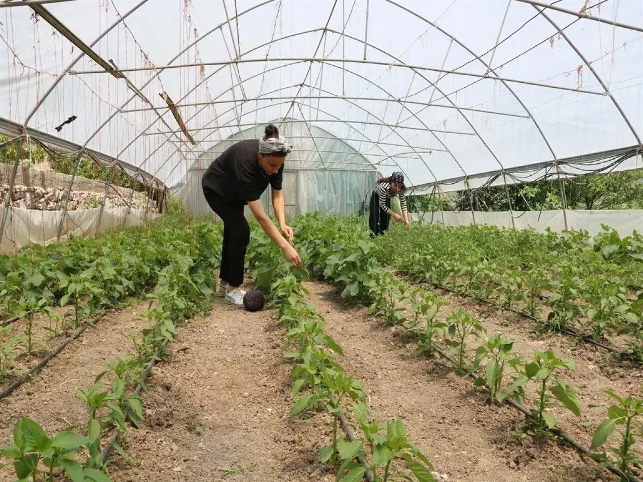 Kuzen İşbirliği 33 ve 24 Yaşındaki İki Genç Girişimci Ortaklıkla Hem Paylaşıp Hem Kazanıyor! 8