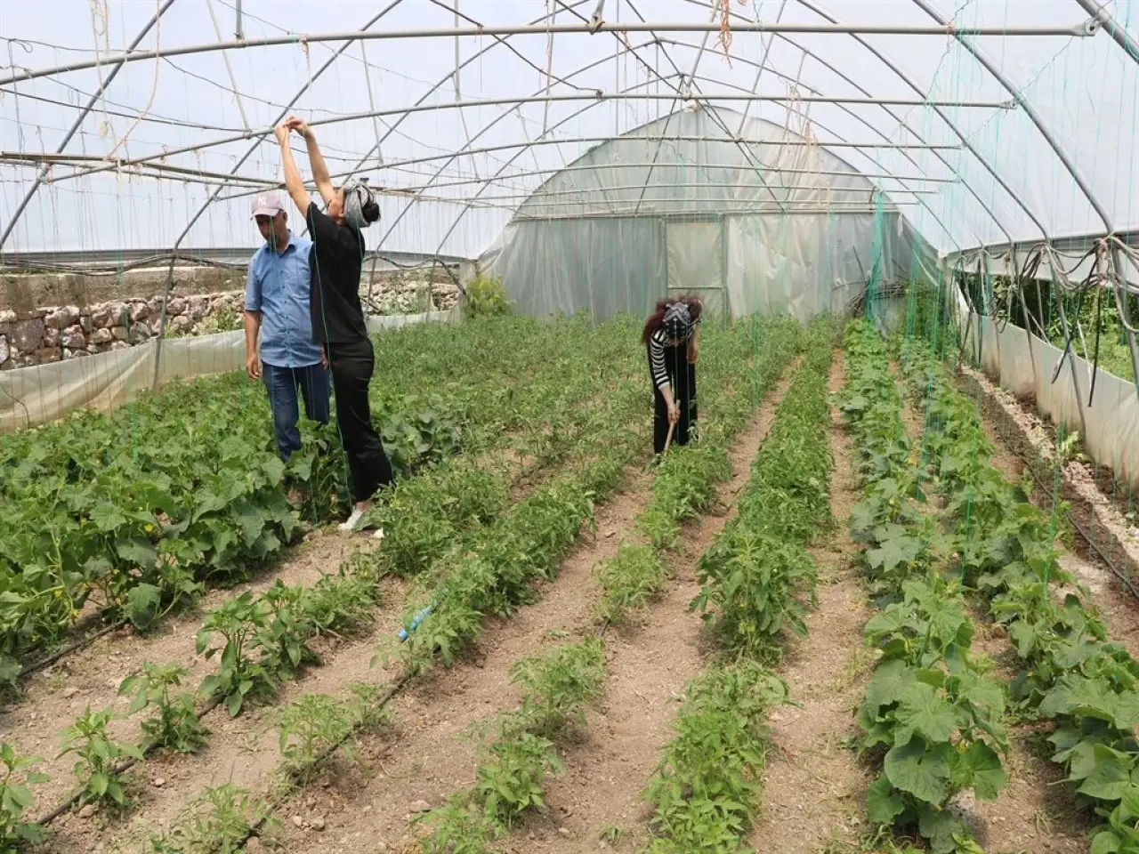 Kuzen İşbirliği 33 ve 24 Yaşındaki İki Genç Girişimci Ortaklıkla Hem Paylaşıp Hem Kazanıyor! 2