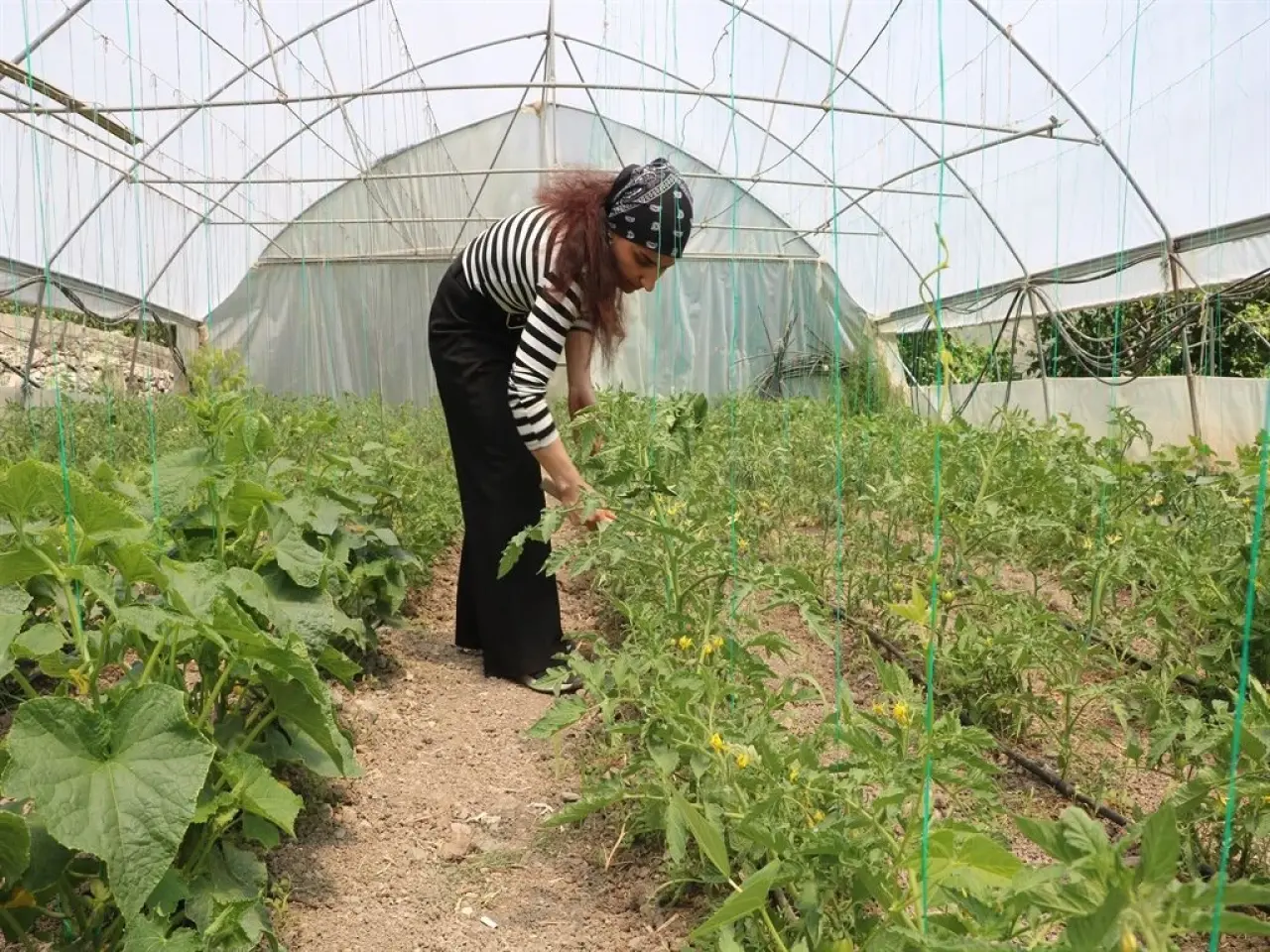 Kuzen İşbirliği 33 ve 24 Yaşındaki İki Genç Girişimci Ortaklıkla Hem Paylaşıp Hem Kazanıyor! 6