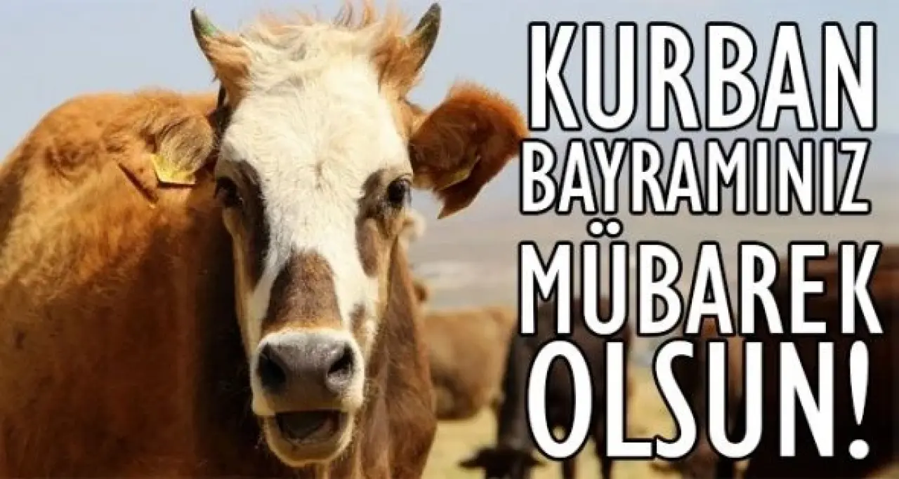 Kurban Bayramı 3. günü mesajları 2025: Dualı, ayetli, anlamlı, en güzel ve resimli bayram mesajları ve sözleri 15