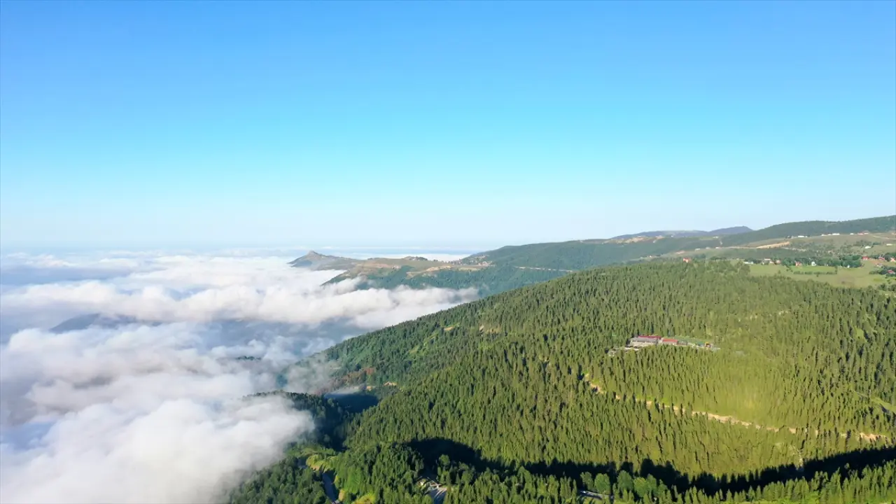 Trabzon'daki "Haçka Yaylası" doğaseverlerin rotasında yer alıyor 2
