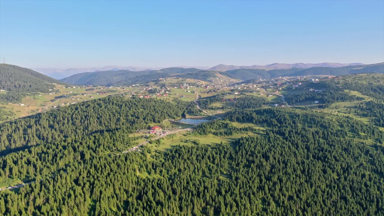 Trabzon'daki "Haçka Yaylası" doğaseverlerin rotasında yer alıyor 1