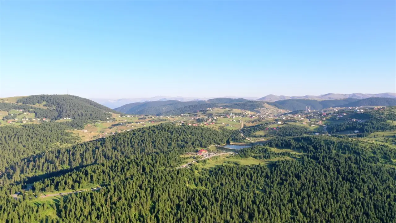 Trabzon'daki "Haçka Yaylası" doğaseverlerin rotasında yer alıyor 3