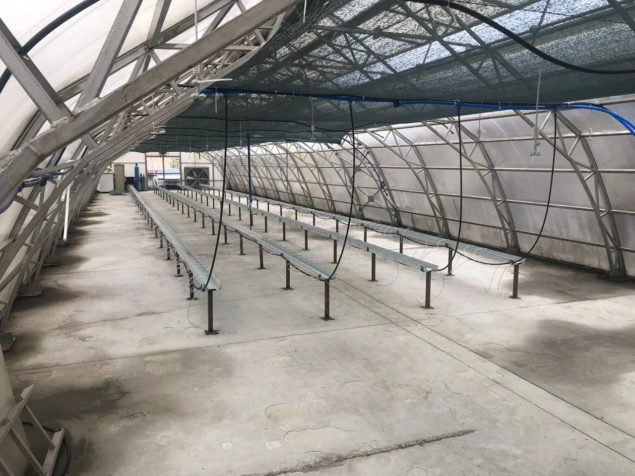 Rize'de çay atıklarından 'çaykopit' ile topraksız tarımda ithalatı önleme projesi başarıya ulaştı. 8