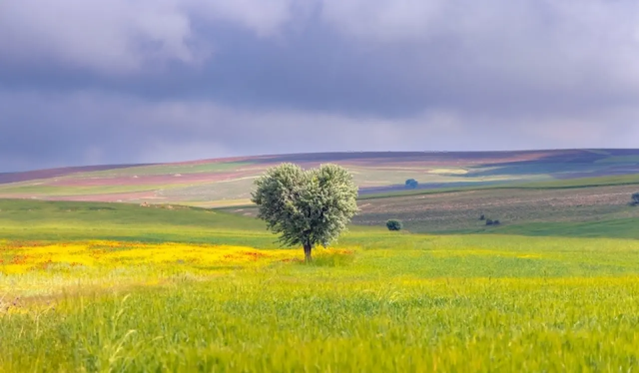 TOKİ 30 İlde 312 Arsayı Satışa Çıkarıyor: İşte Tarih, Yer ve Şartlar 1