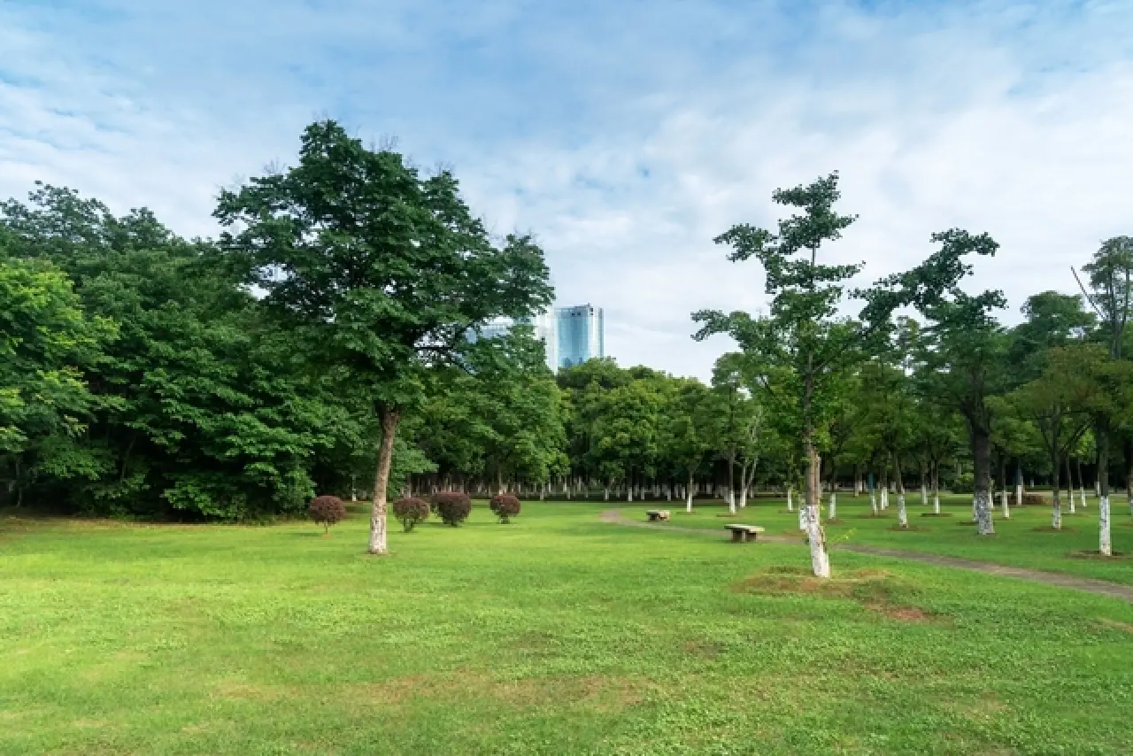 TOKİ 30 İlde 312 Arsayı Satışa Çıkarıyor: İşte Tarih, Yer ve Şartlar 2