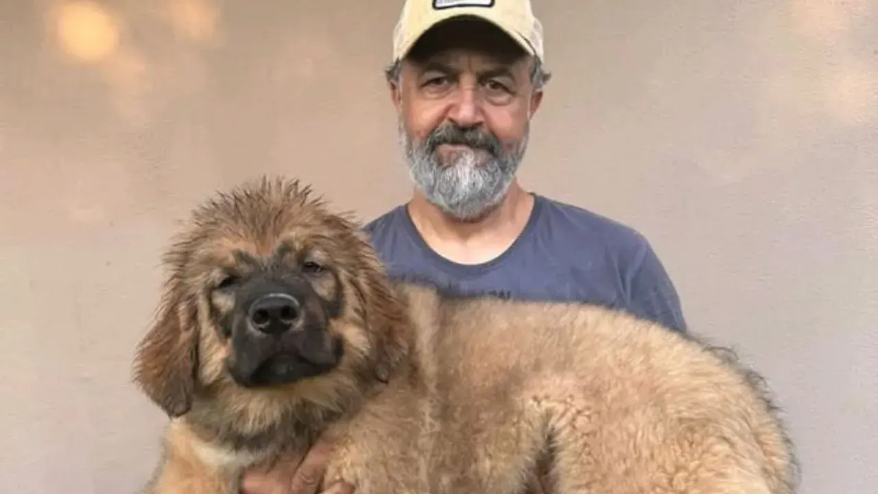 Gözleri Karadeniz’in Osman’ı Mehmet Özgür Kimdir? Kaç Yaşında ve Hangi Dizilerde Rol Aldı? 1