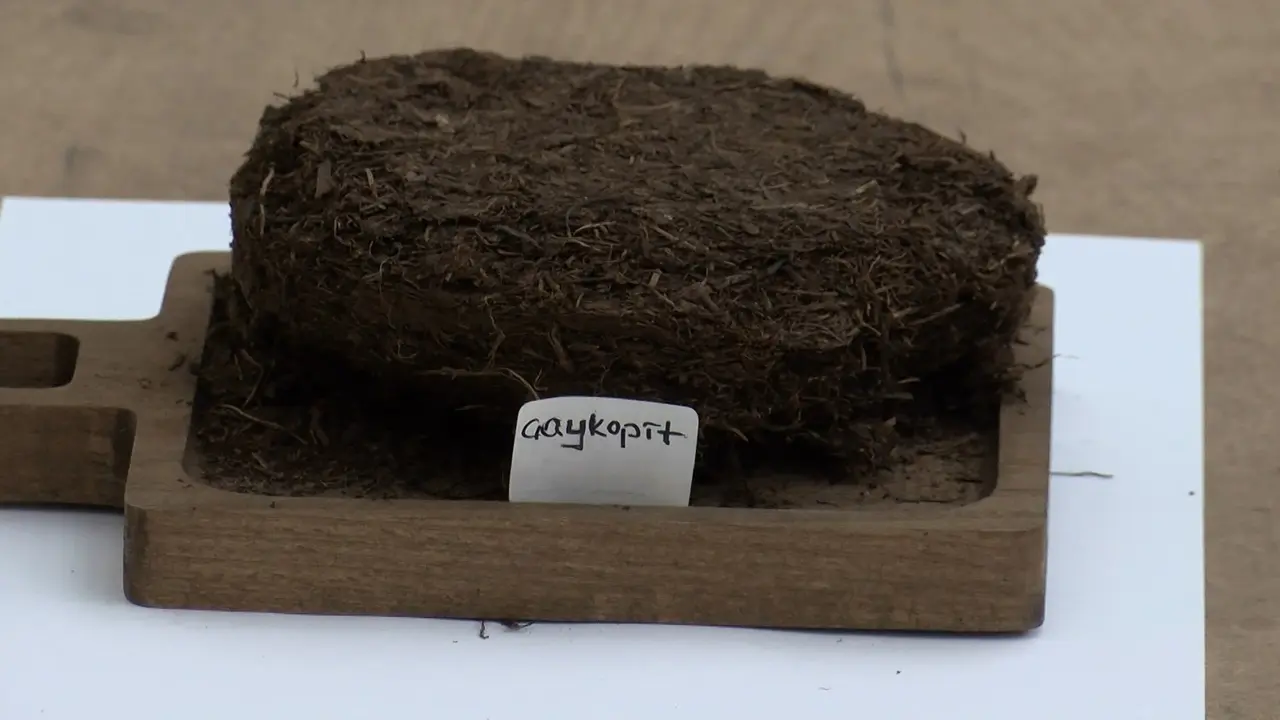 Rize'de çay atıklarından 'çaykopit' ile topraksız tarımda ithalatı önleme projesi başarıya ulaştı. 5