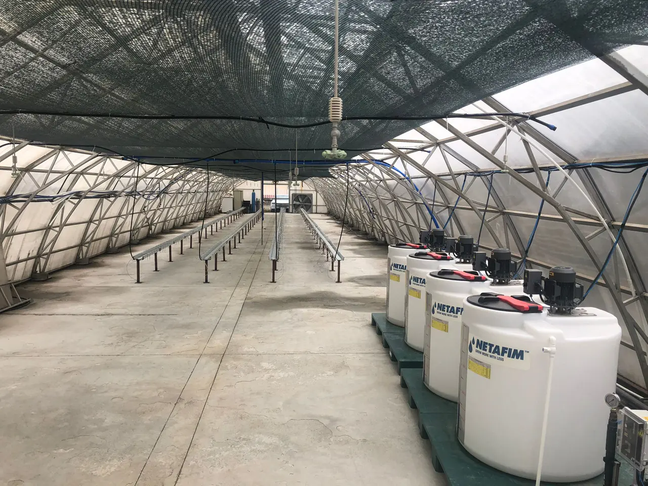 Rize'de çay atıklarından 'çaykopit' ile topraksız tarımda ithalatı önleme projesi başarıya ulaştı. 3