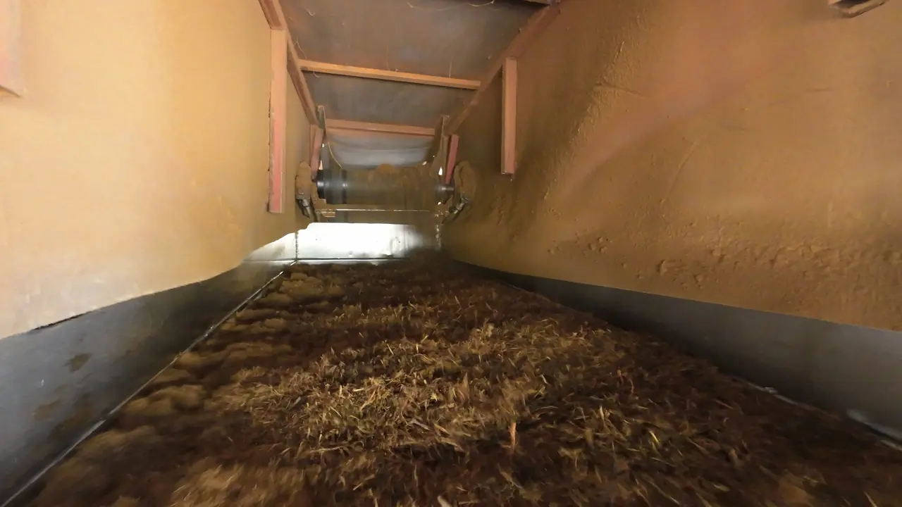 Rize'de çay atıklarından 'çaykopit' ile topraksız tarımda ithalatı önleme projesi başarıya ulaştı. 7