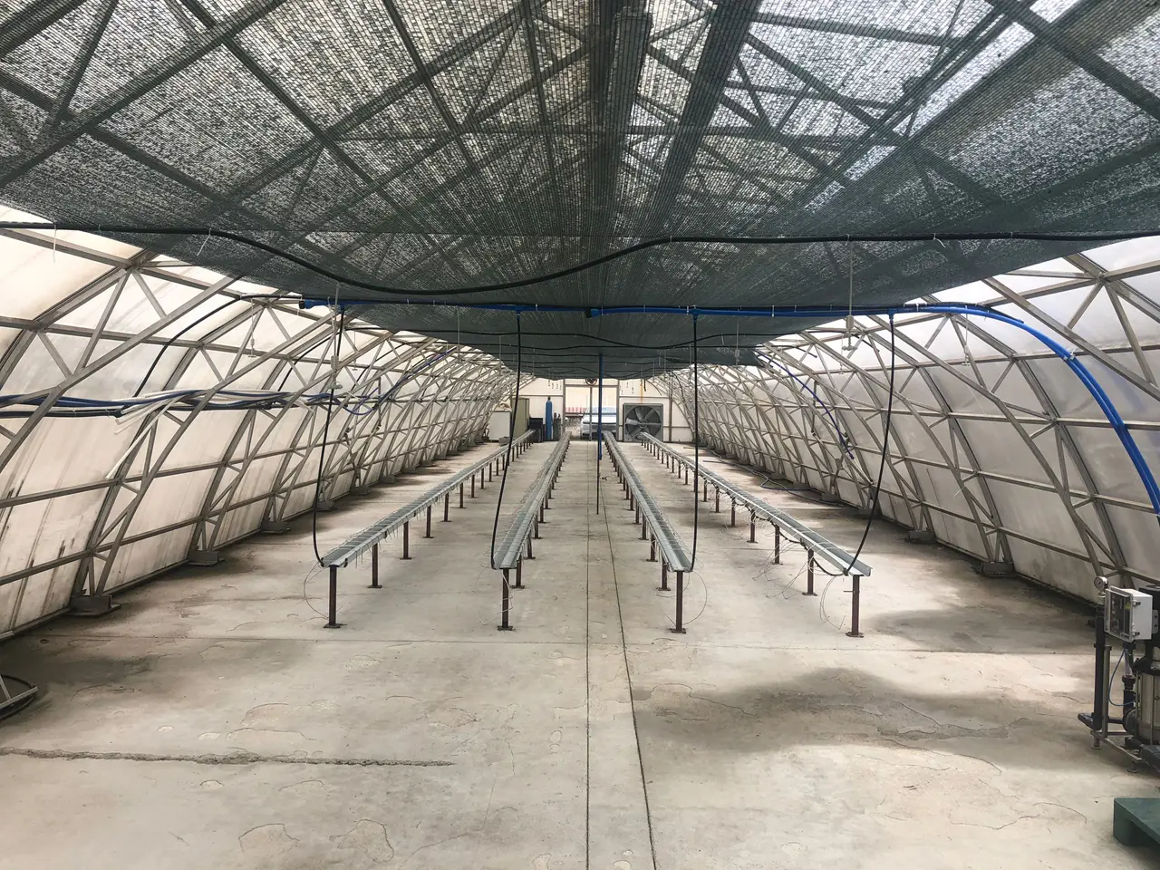 Rize'de çay atıklarından 'çaykopit' ile topraksız tarımda ithalatı önleme projesi başarıya ulaştı. 9