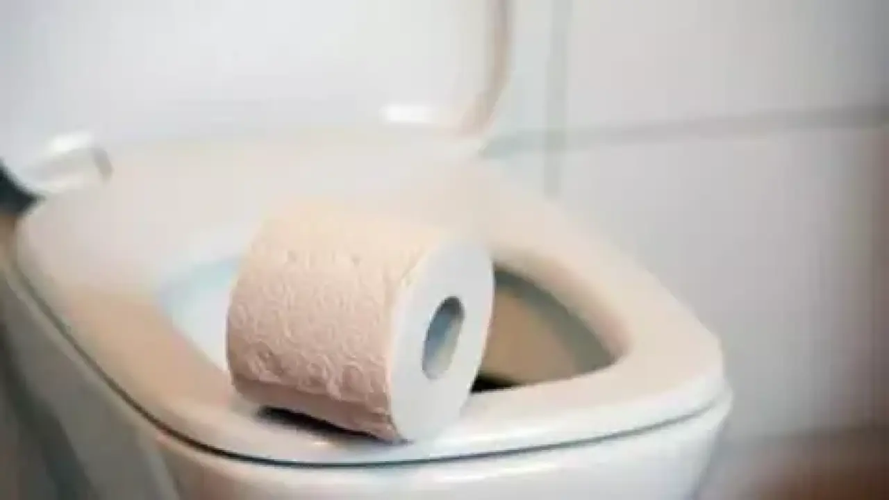 Tuvalet Kağıdı Zararlı mı? Alternatifler Neler? (2026 Güncel Rehber) 9