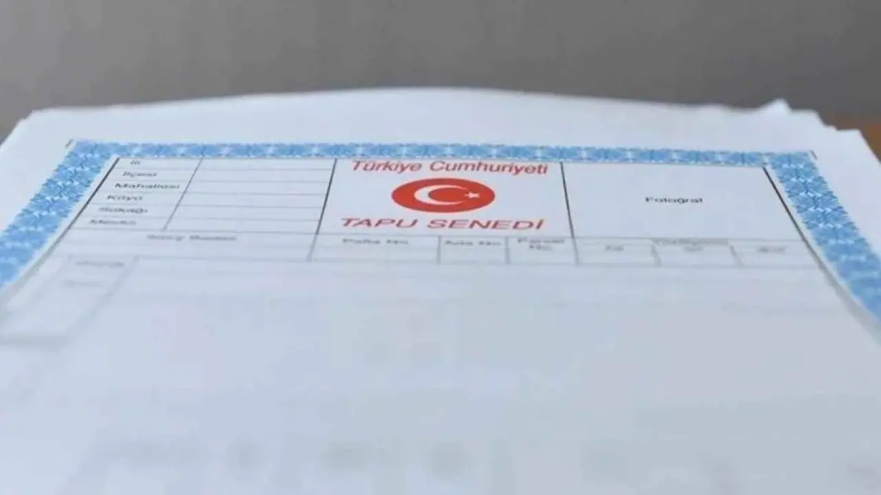 Miras İhtilafında Sıkça Yapılan Hatalar: Gayrimenkulünüzün Yarısı Kardeşinize Kalabilir 6